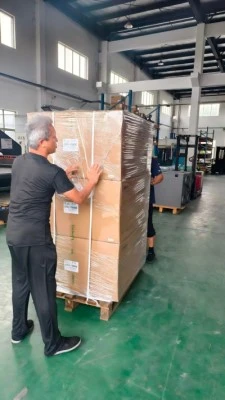 Βρίσκονται σε μια ξέφρενη βιασύνη να τηρήσουν τις προθεσμίες.